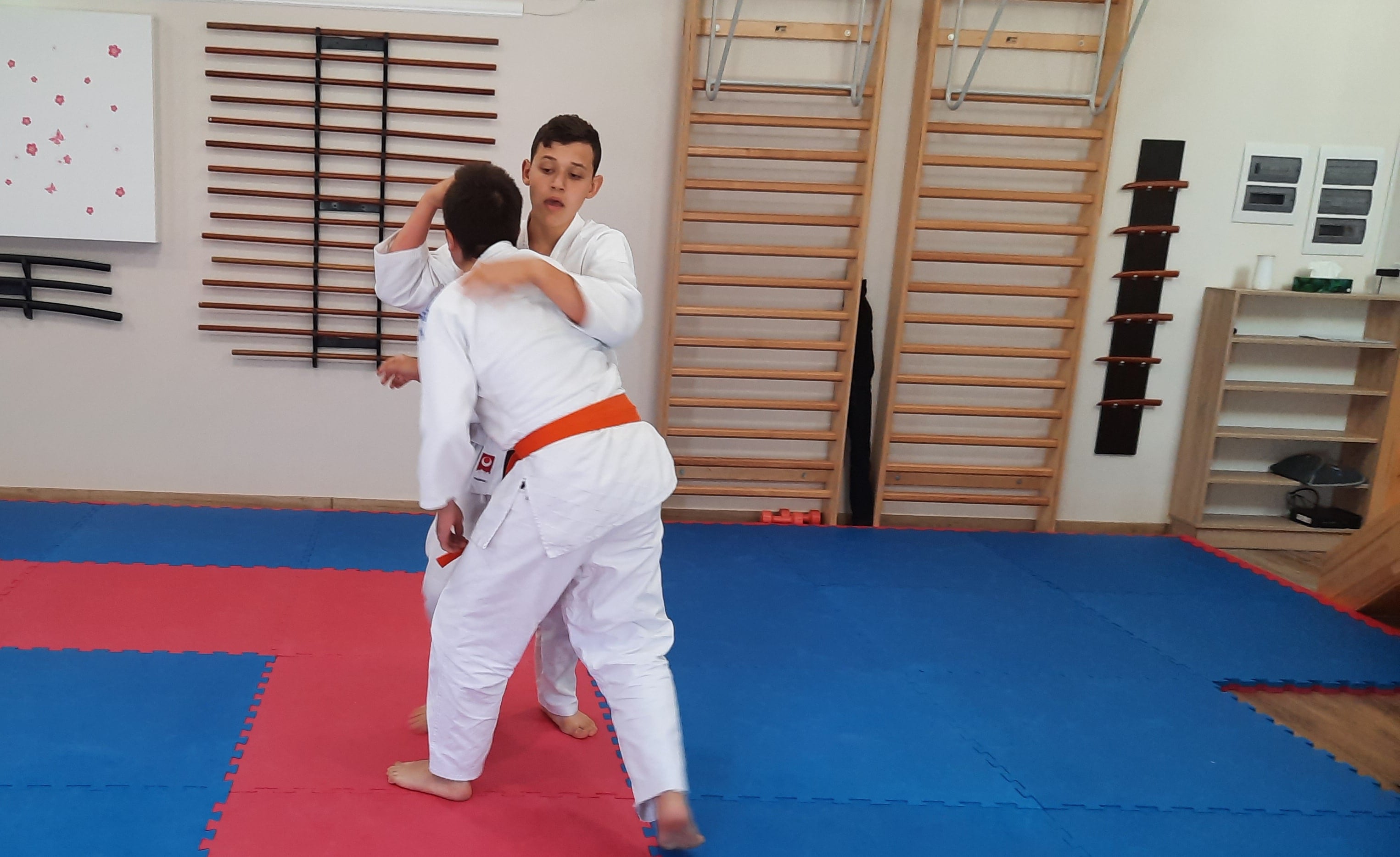 20220619_113310%280%29