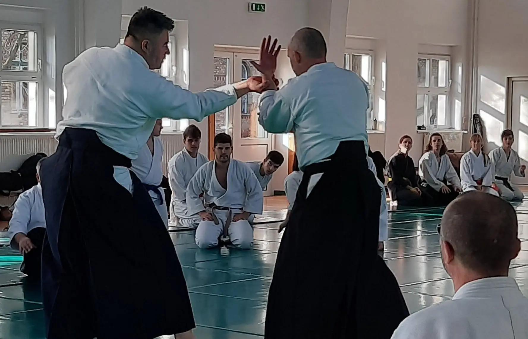Aikido Bekescsaba
