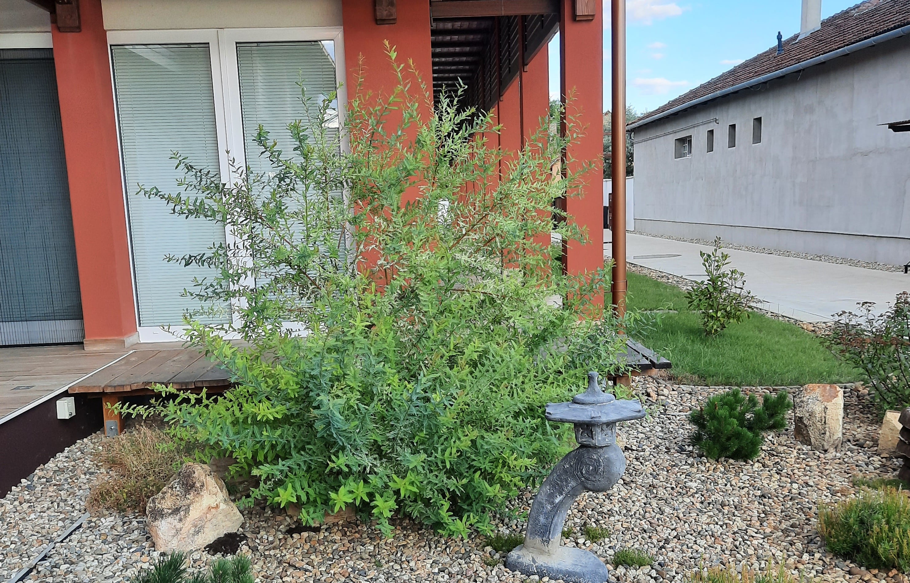 Fenyesi%20Dojo20220710_190944