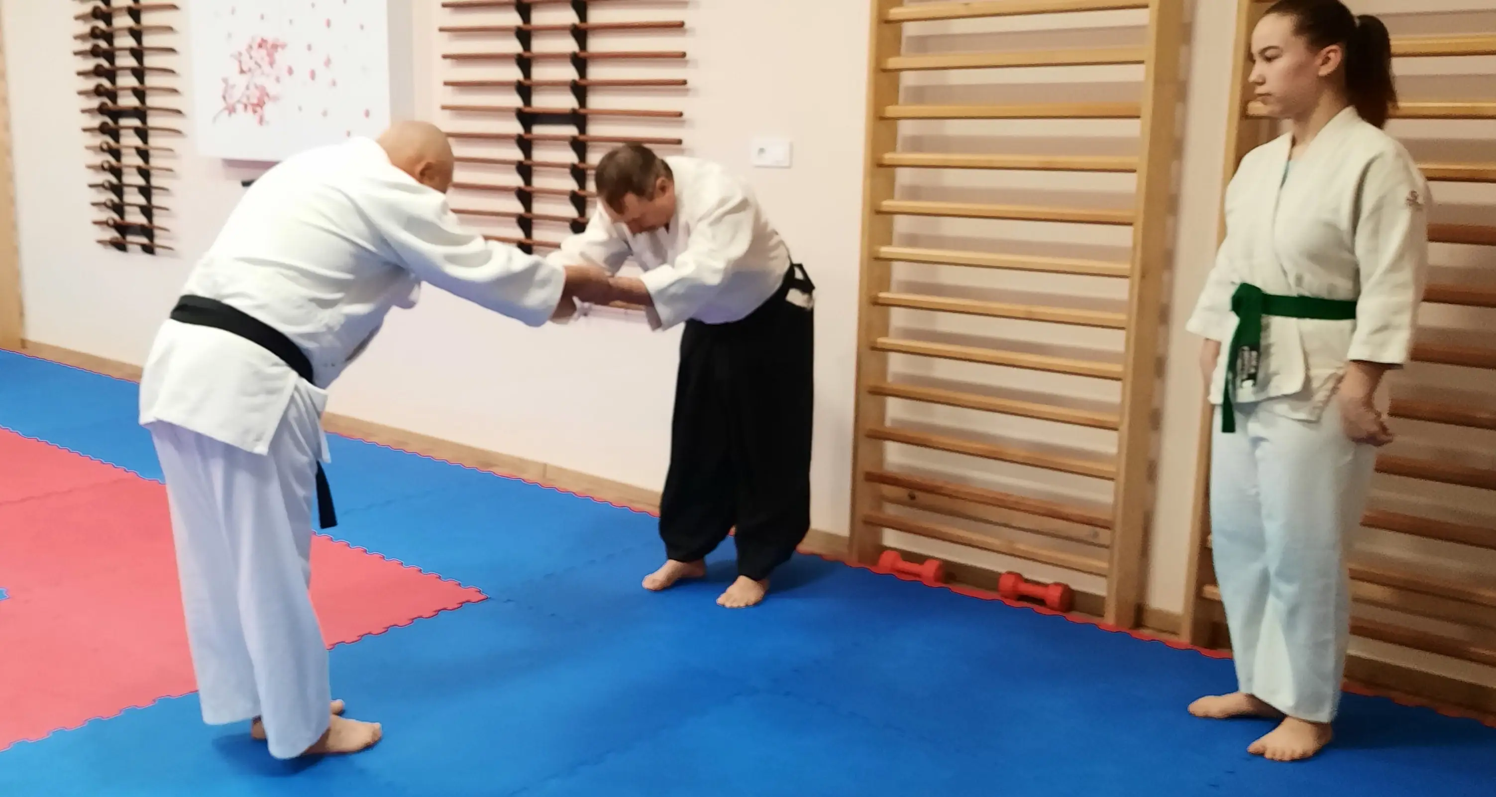 Fenyesi%20dojo%20Aikido%20Bekescsaba