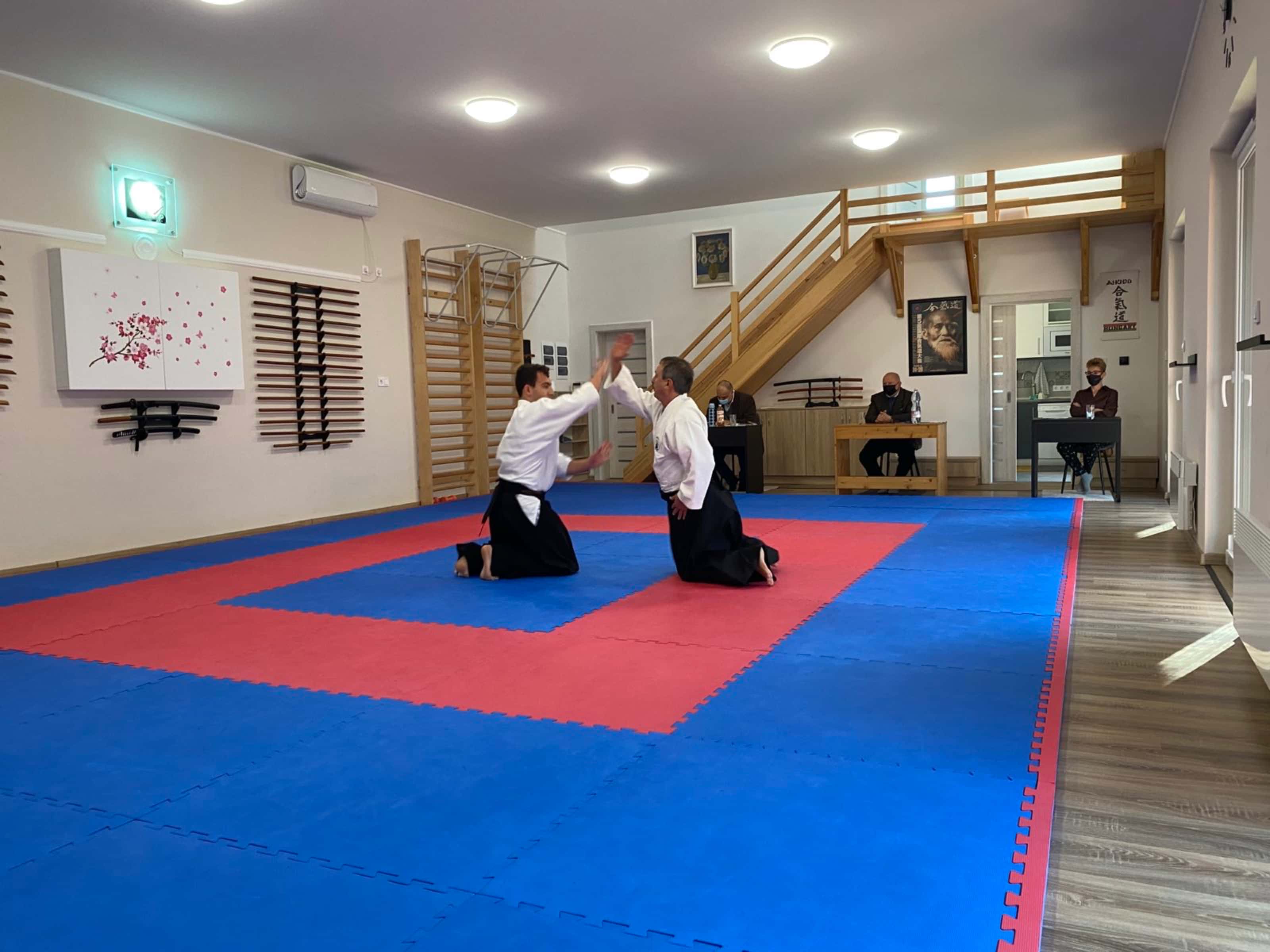 IMG c3b17bff1a52544c8306c2fb6525dbb2 V@2x