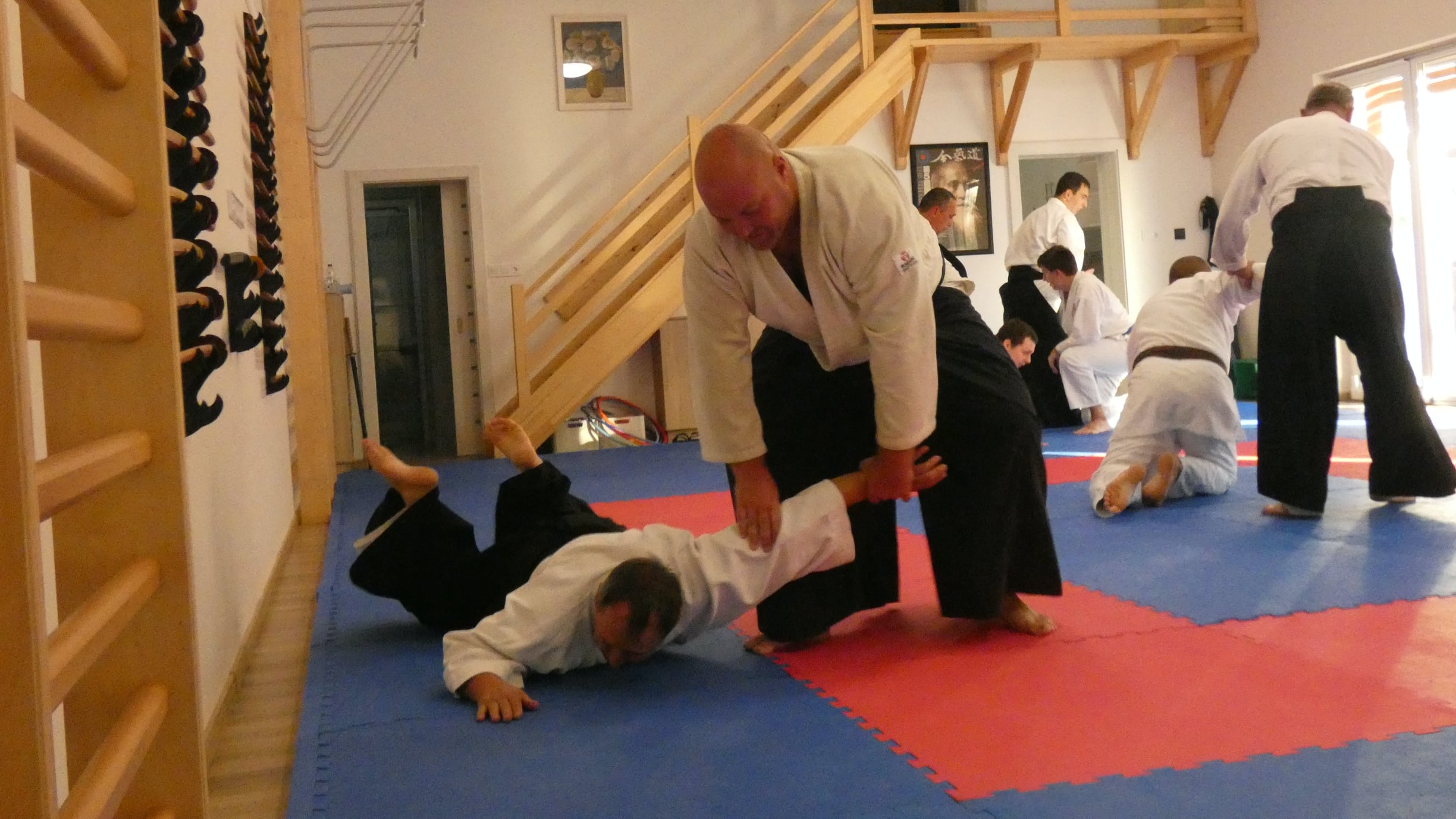 Marton%20ImreP1030439@0.5x