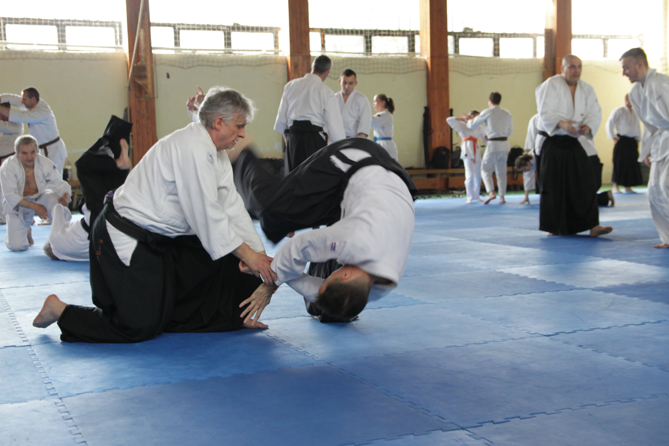 Mirko%20Jovandic%20Shihan00008