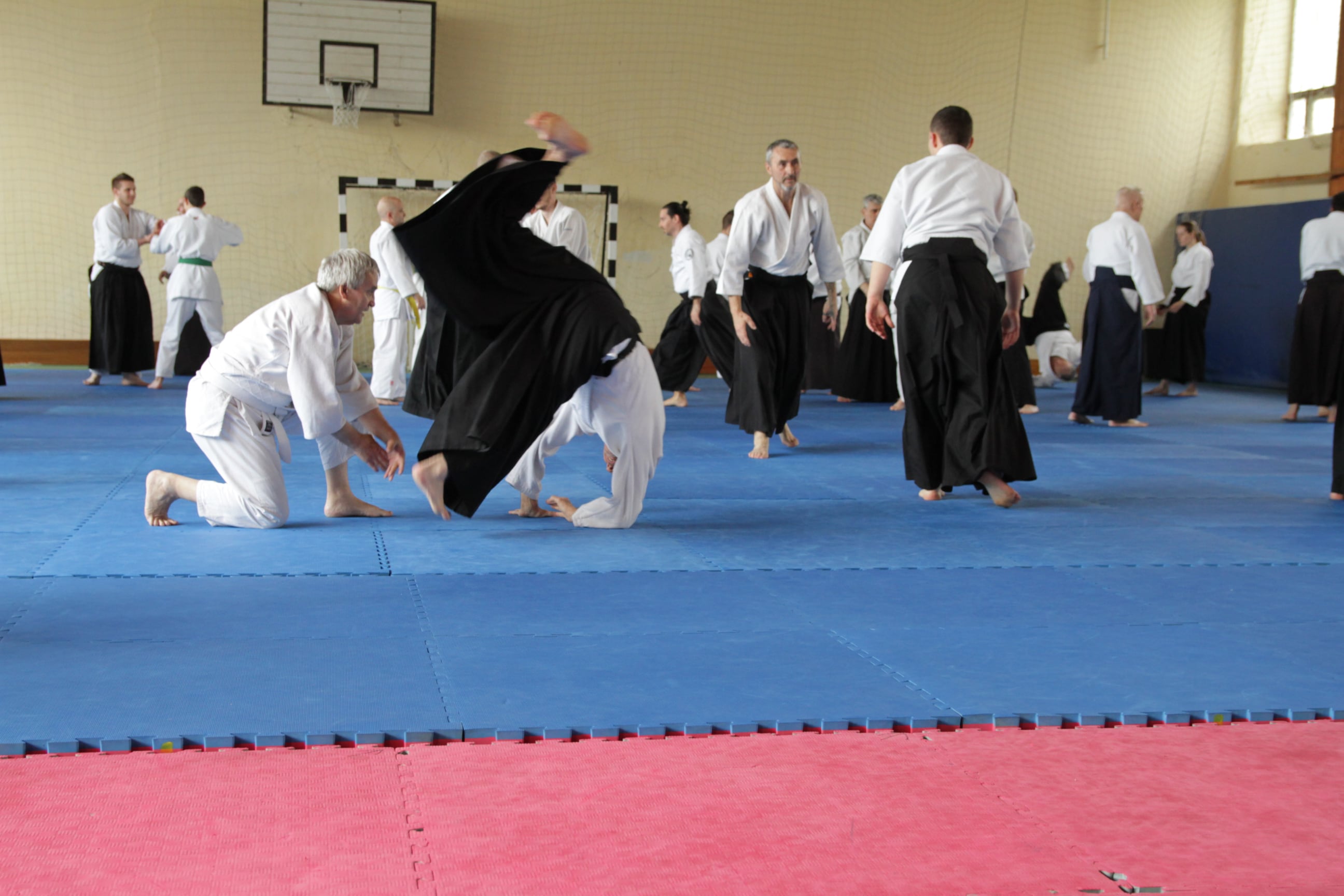 Mirko%20Jovandic%20Shihan00015