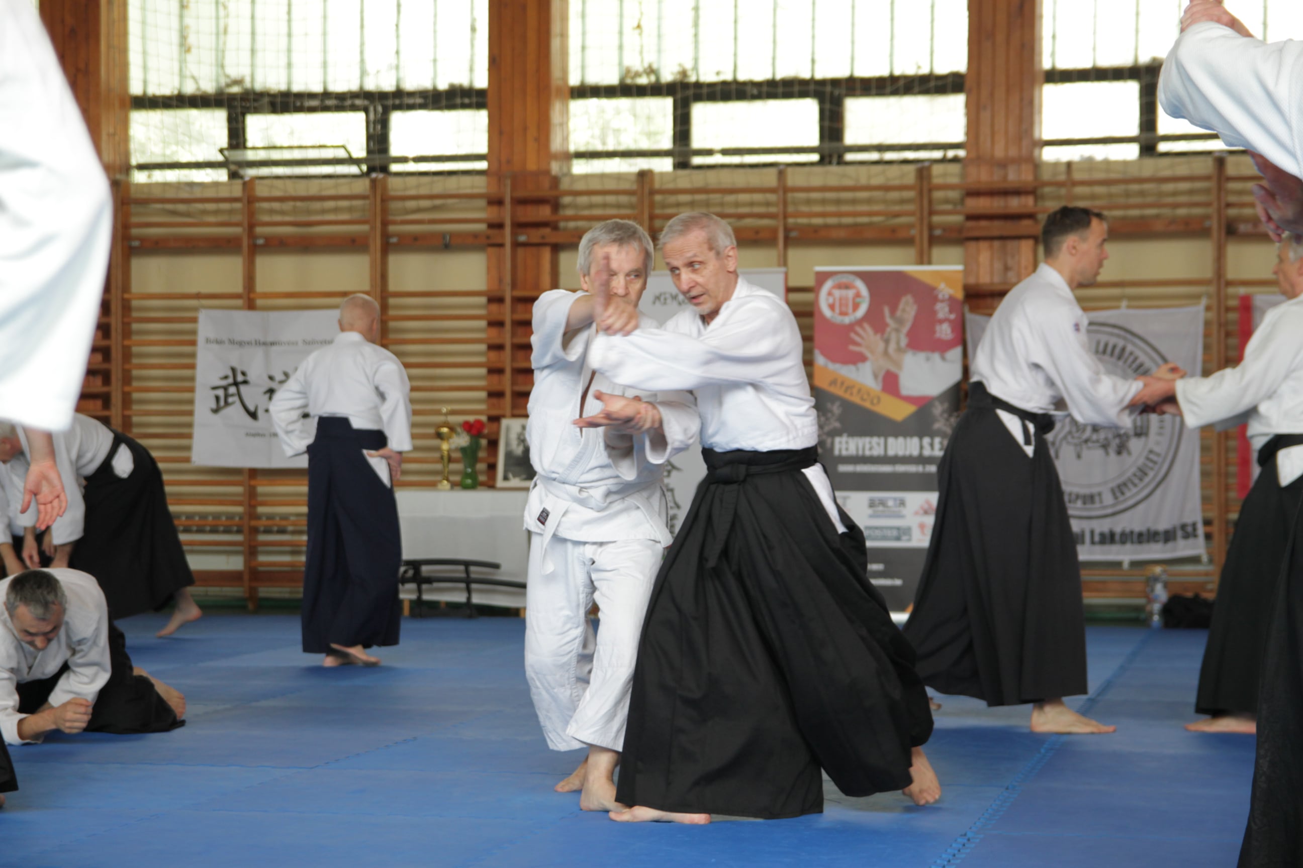 Mirko%20Jovandic%20Shihan00022