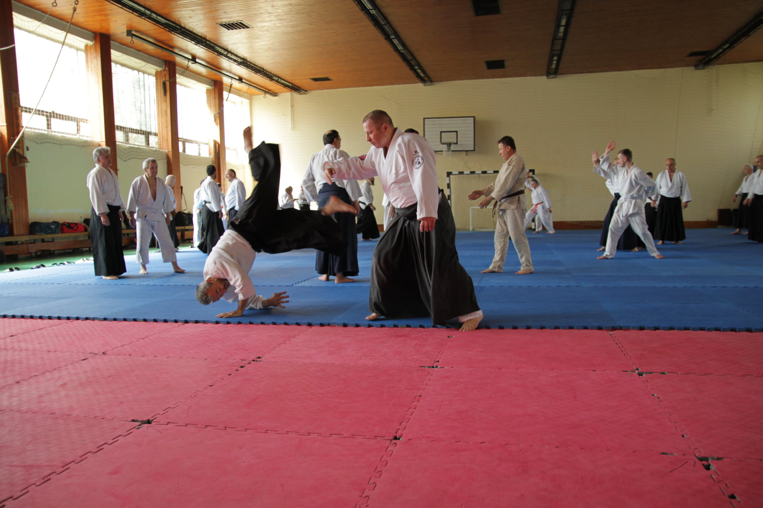 Mirko%20Jovandic%20Shihan00024