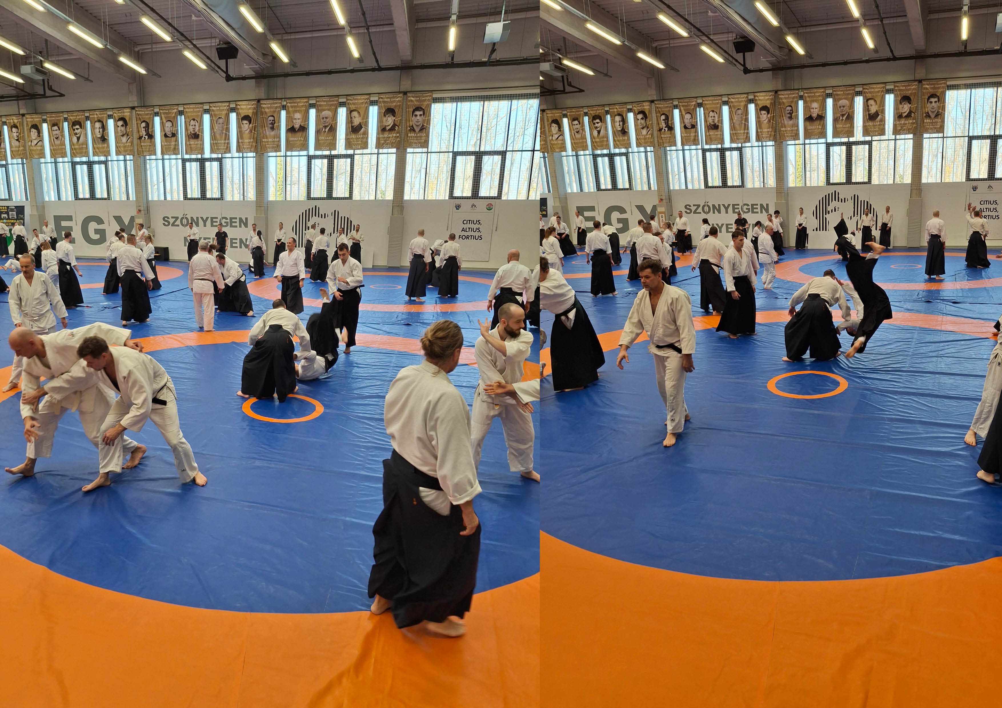 Mihalicska%20Istvan20221126_113551