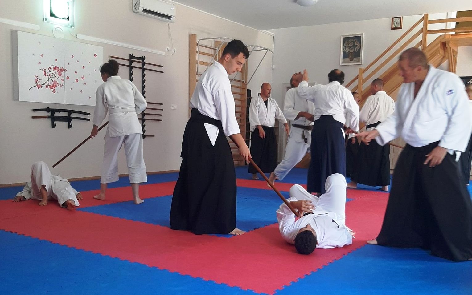 Veisz%20Janos%20Fenyesi%20Dojoimg2023.%2002.%2022.%2017.42.26%209