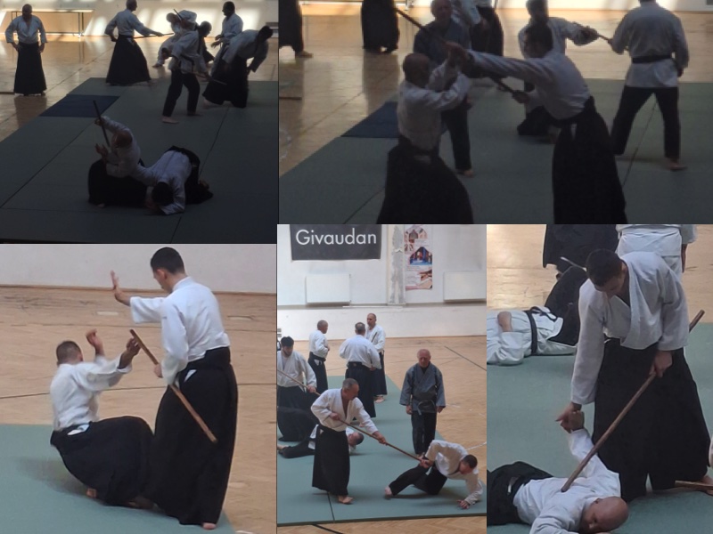 Vizsga_felk_mako_2025_gal