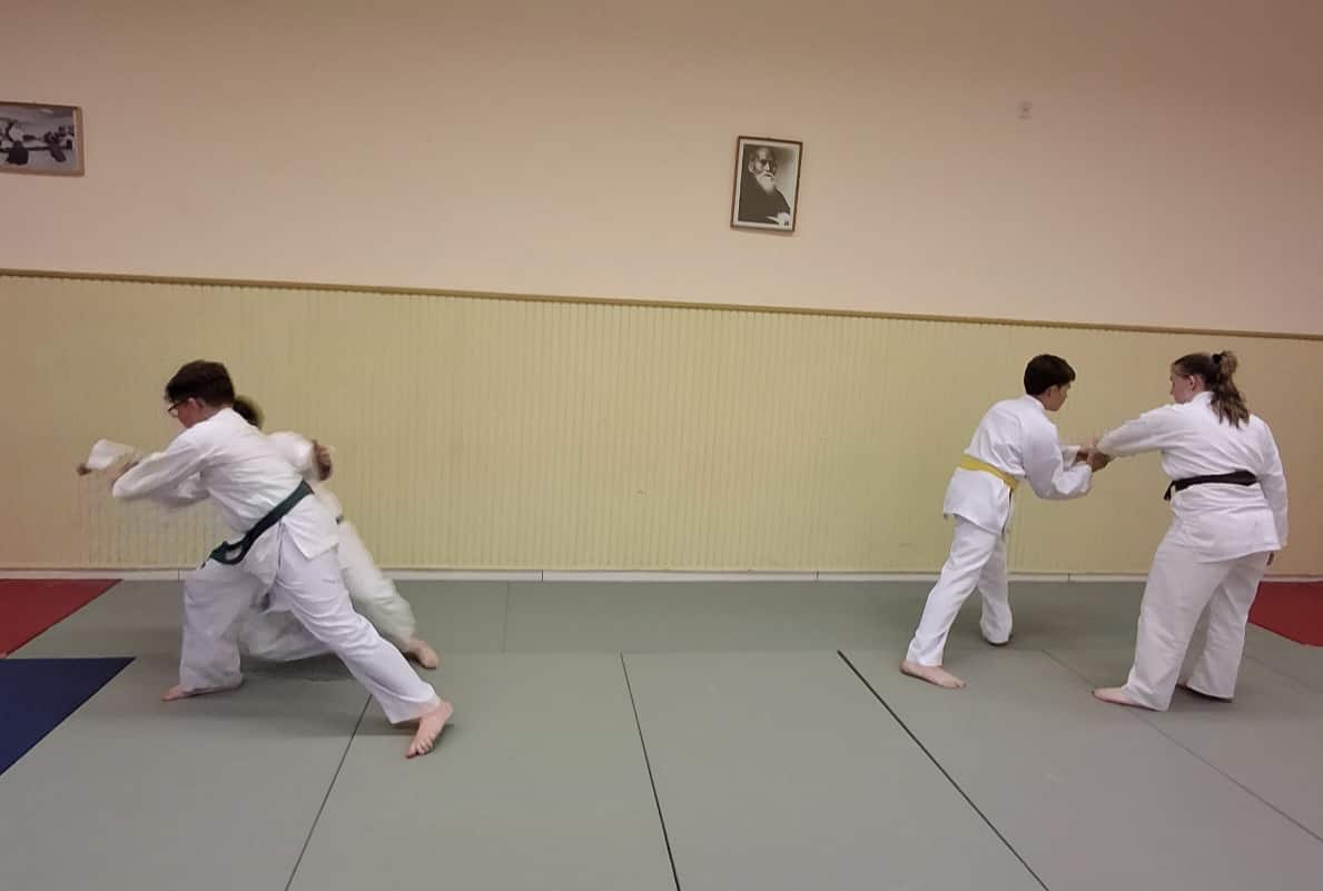 Shihan%20Mirko%20_5.jpeg